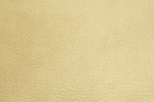 Polo 1