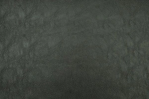 Libra Black 008