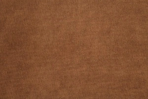 Panamera 6 Brown