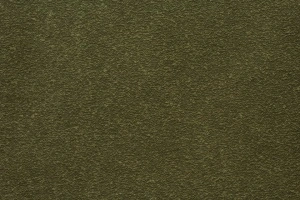 Olimp 20