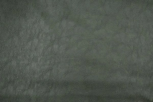Libra Green 006