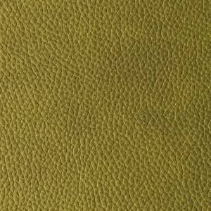 Pacifico Moss