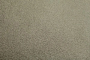 Polo 5