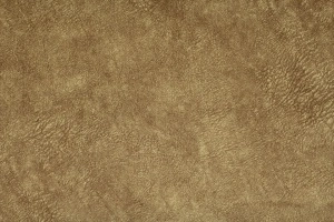 Wr Bronze