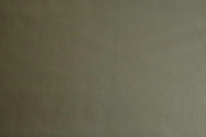 Novella 601