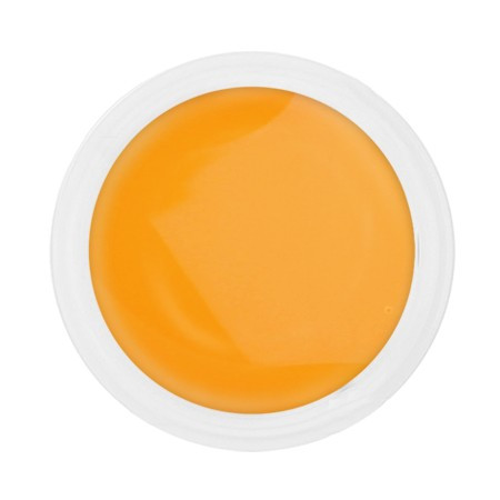 Gel UV color Lila Rossa Neon 5 g E2801