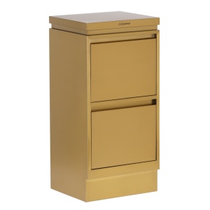 Ucenic frizerie si coafor, 2 sertare, din Metal Auriu, Luxos