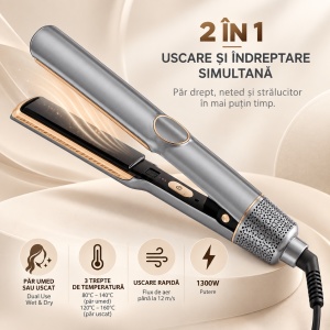 Placă de Îndreptat Părul cu Aer Cald 2 în 1 – Uscător de Păr și Aparat de Îndreptat, Uscare și Îndreptare Simultană, Hair Straightener, Gri