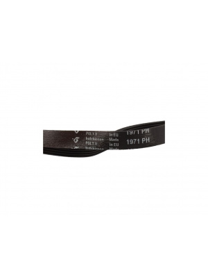 Dryer belt 1971H7 Electrolux Aeg 140056254018 compatible - Img 4