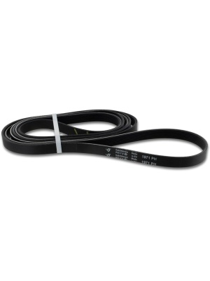 Dryer belt 1971H7 Electrolux Aeg 140056254018 Original