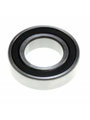 6005LLU bearing with water protection FINDLING WÄLZLAGER
