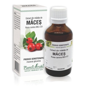 Extract din mladite de Maces, 50 ml, Plant Extrakt