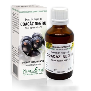 Extract din muguri de Coacaz Negru, 50 ml, Plant Extrakt