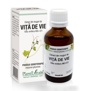 Extract din muguri de Vita de Vie, 50 ml, Plant Extrakt