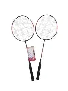 Badminton sa lopticama