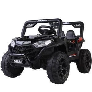 Automobil na akumulator 5588