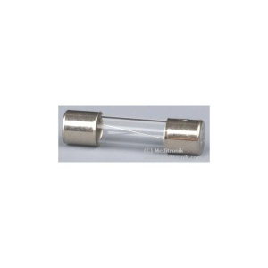 SIGURANTA TEMPORIZATA 0.1A 5X20 mm