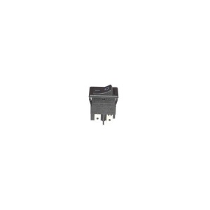 COMUTATOR DPST 10A/250VAC