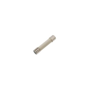 SIGURANTA TEMPORIZATA 10A 5x20 mm CERAMICA