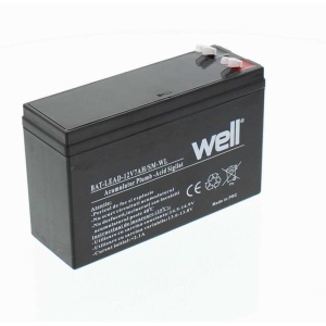 ACUMULATOR PLUMB 12V/7Ah F1, BAT-LEAD-12V7AH, SLIM WELL