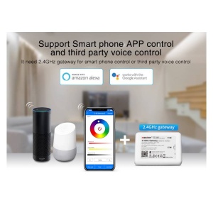 CONTROLLER LED CD12/24V STRIP/PANEL 5IN1 SYNERGY 21 - Img 2