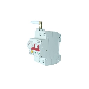 DISJUNCTOR SMART WI-FI 16A 2 POLI (L+N) WDYK