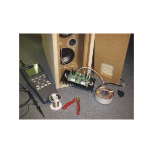 KIT AMPLIFICATOR AUDIO MONO 200W WSAH8060