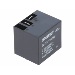 RELEU 24VDC SPDT-NO 30A