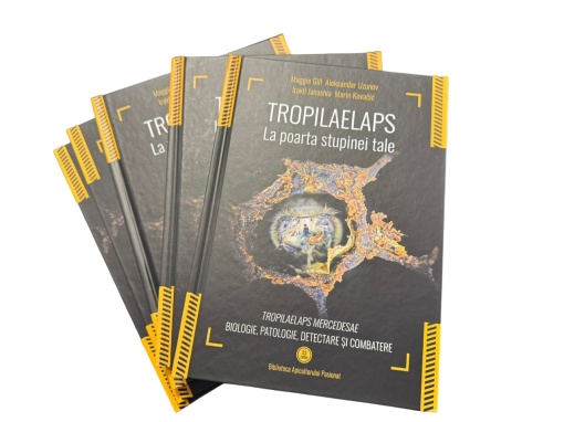 Tropilaelaps – La poarta stupinei tale - Img 5