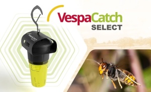 Vespa Catch Select – capcană optimizata pentru viespi si gargauni