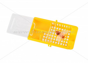 Cusca transport matci - capac transparent