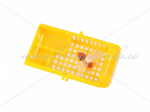 Cusca transport matci - capac transparent - set 100 buc - Img 2