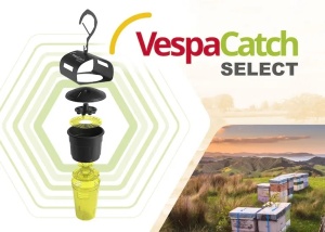 Vespa Catch Select – capcană optimizata pentru viespi si gargauni - Img 4