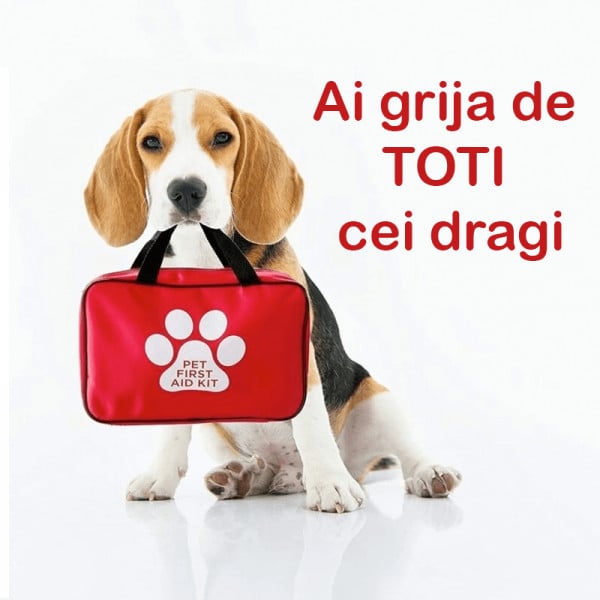 Trusa de prim ajutor Zootehnic portabila cu 55 piese, pentru animale de companie / domestice sau salbatice de talie medie si mica precum caini, pisici, porcusori guineea, iepuri etc - 2 | YEO