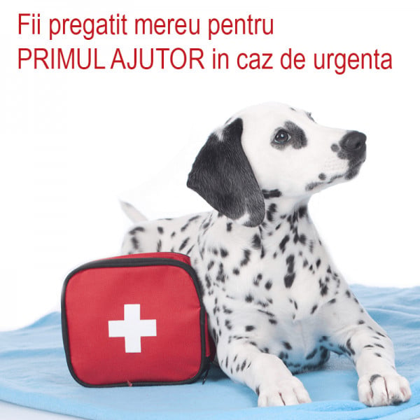 Trusa de prim ajutor Zootehnic portabila cu 55 piese, pentru animale de companie / domestice sau salbatice de talie medie si mica precum caini, pisici, porcusori guineea, iepuri etc - 3 | YEO