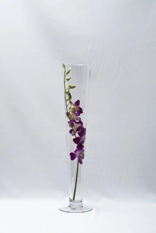 vaza sticla inalta montana h 60 cm