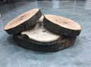 Felii bustean 22-27 cm