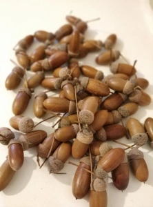 Ghinda natur 300 gr