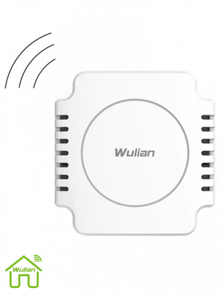 WULIAN WLN481025 WULIAN SMARTAUX - Convertidor de Analogico