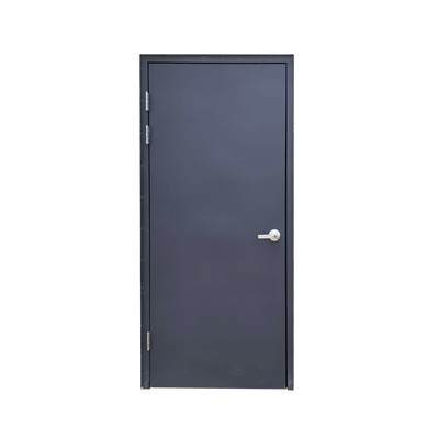 AccessPRO PROCIEGAN5B Puerta Ciega Nivel V (Fusil de Asalto
