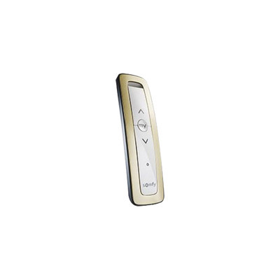 SOMFY SITUO1RTSGOLD Control remoto 1 canal para motores de p