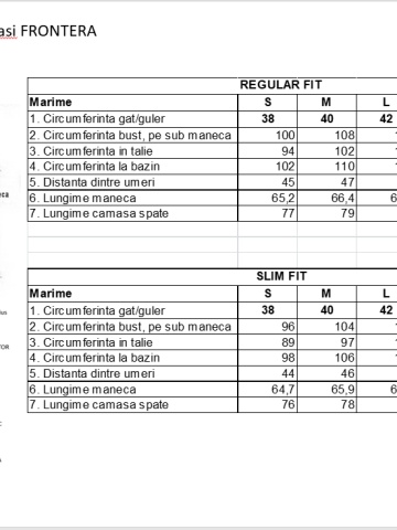 Camasa premium barbati, 100% bumbac, regular fit - FRONTERA - negru dungi - Img 5