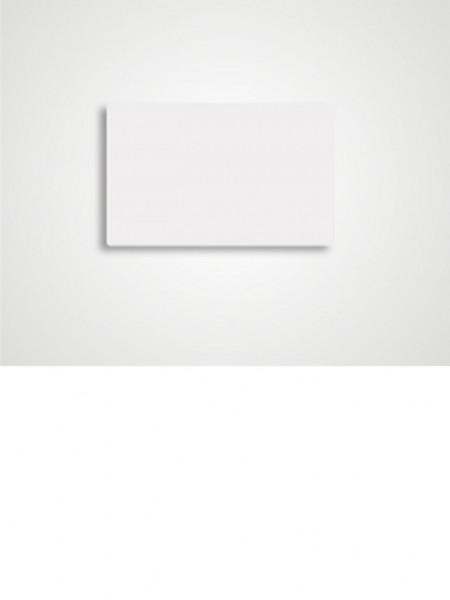 AST069001 SAXXON SAXXON SAXDUAL03 - TAG De PVC Dual / U