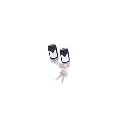 XBPCTL AccessPRO terminadores