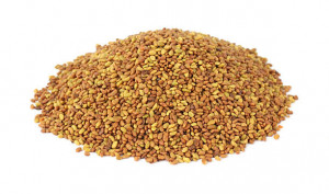 Seminte de lucerna (Medicago Sativa) - 1 kg
