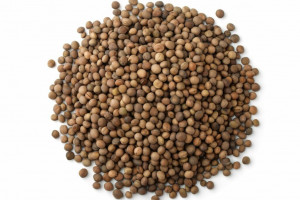 Mazariche de primavara (vicia sativa) - 1 kg