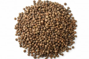 Mazariche de primavara (vicia sativa) - 1 kg