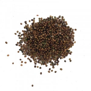 Semintele de Ghizdei (Lotus corniculatus) - 0.5 kg