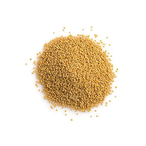 Seminte de mustar alb (Sinapis alba) - 1 kg