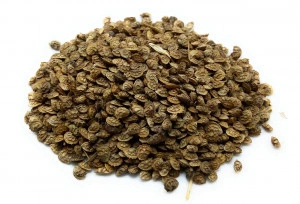 Seminte de sparceta (Onobrychis viciifolia) - 1 kg